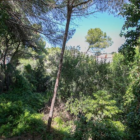 Carmel Boutique Apartments - Urban Forest Haifa Luaran gambar