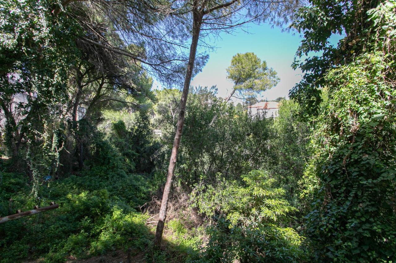 Carmel Boutique Apartments - Urban Forest Haifa Luaran gambar